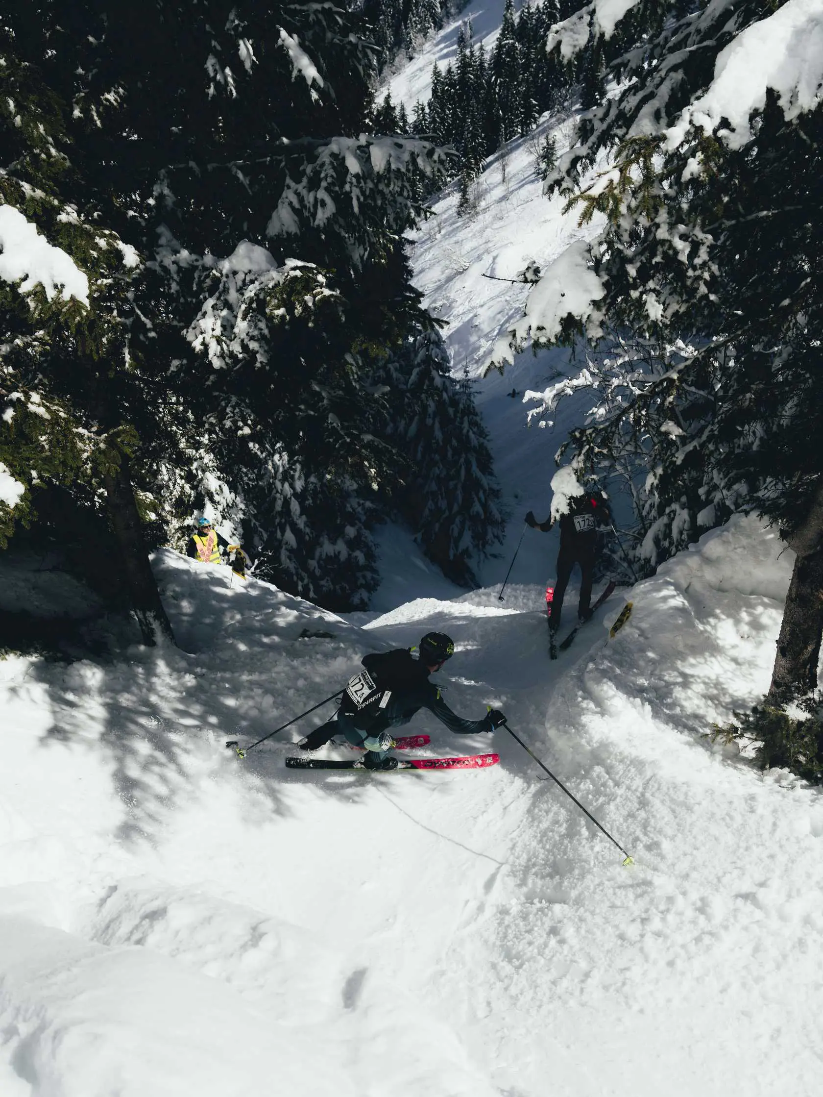 Ski mountaineering race in winter forest