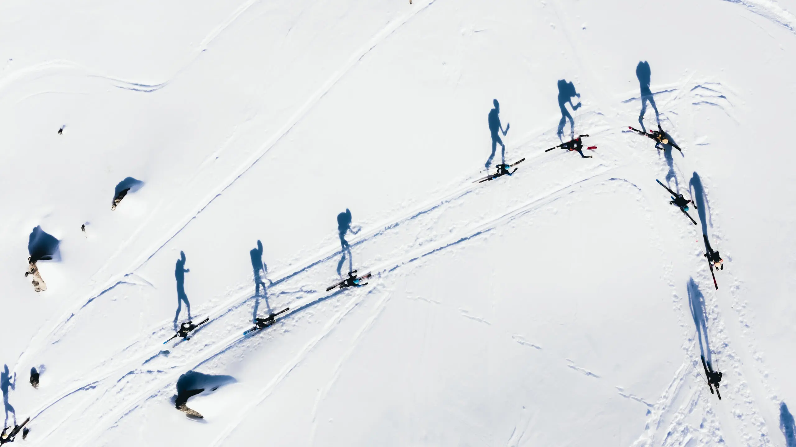 Aerial view skiers, long shadows on snow