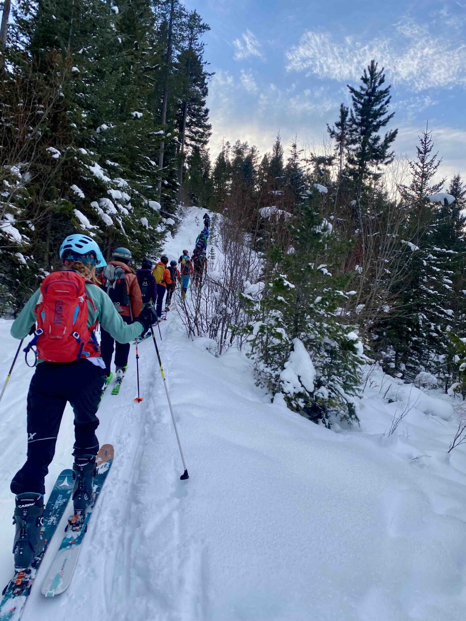 Group ski touring in snowy forest