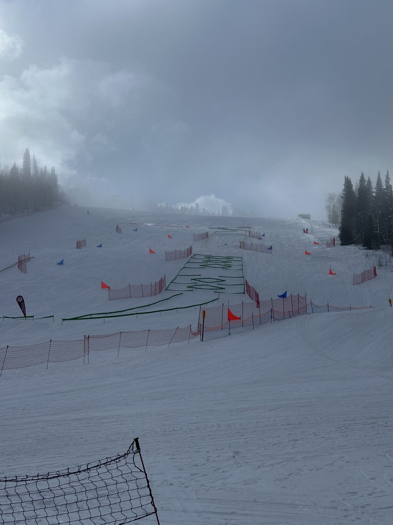Ski slope with gates